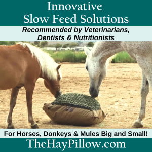 Hay Pillow
