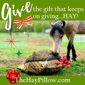 Hay Pillow