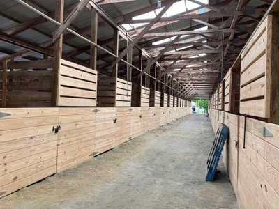 new barn stalls