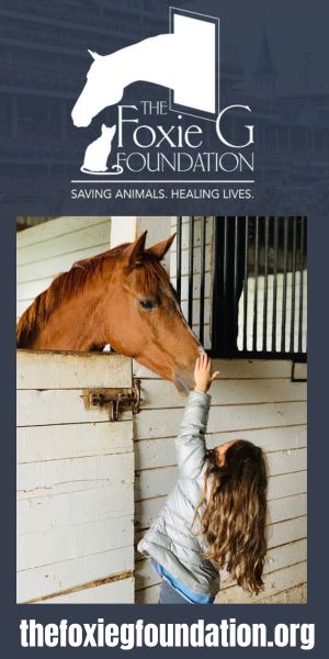 The Foxie Foundation Horse Rescue 