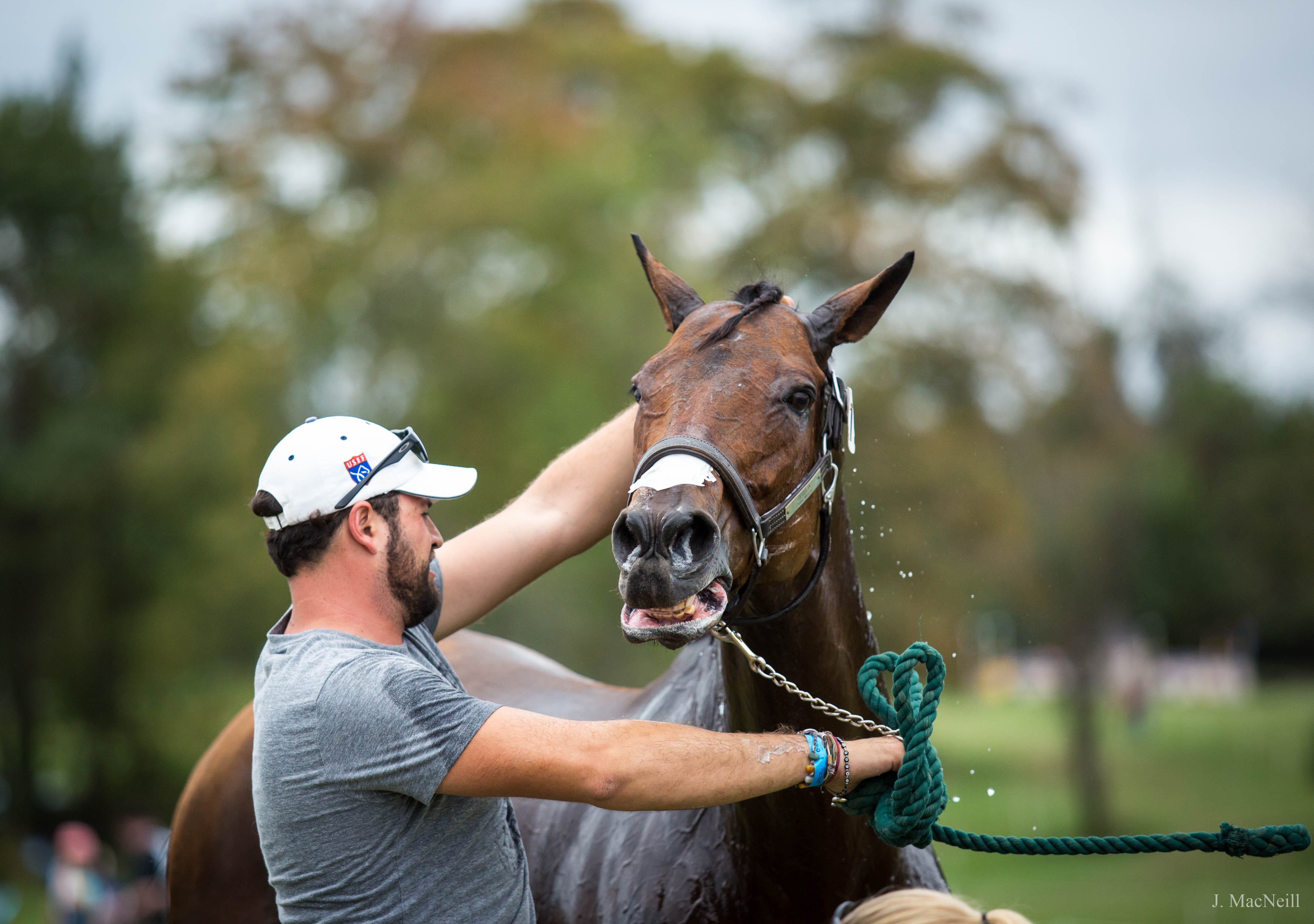CONTEST PET horse being washed MacNeill