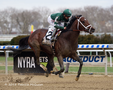 Army Mule wins Carter
