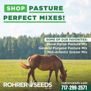 Roher Seeds