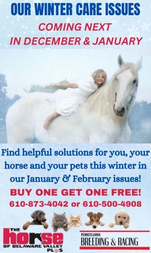 Winter Care Promo 2025